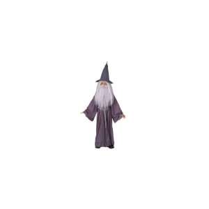  Rubies Gandalf the Lord of the Rings Halloween Costume 