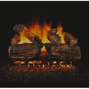   Vented Gas Log Sets with Burner Propane 18 Millivolt