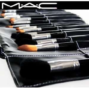    Mac Professional 24 Brush Set compared to Mac Brushes. Beauty
