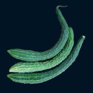  Suyo Long Cucumber 25 Seeds Patio, Lawn & Garden